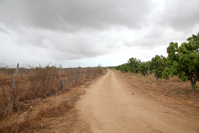 cabo real estate investment